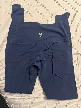 Aritizia golden navy leggings